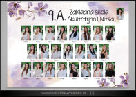 ZS 43